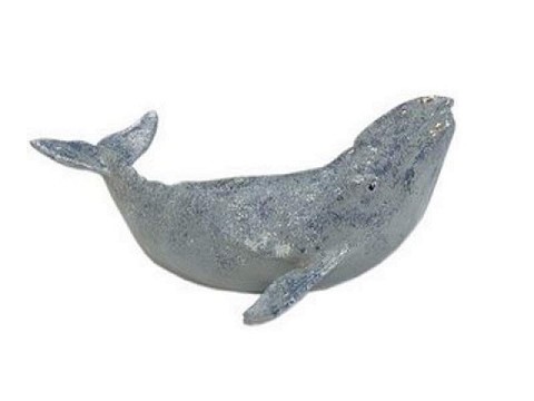 Balena Cucciolo