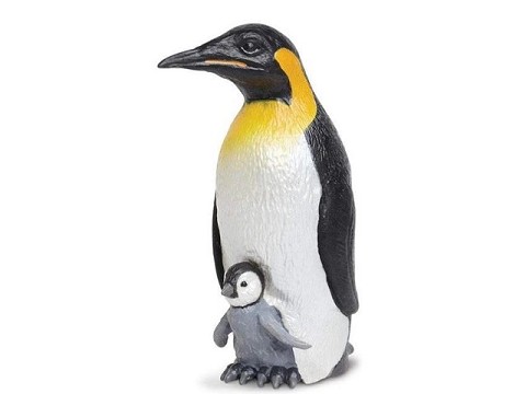 Pinguino Imperatore con Baby