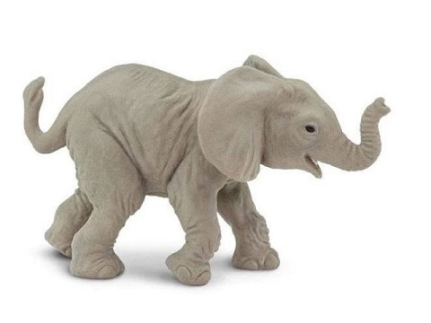 Elefante Africano Baby