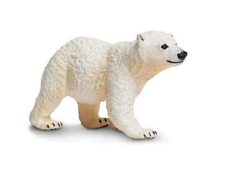 Orso Polare Cucciolo