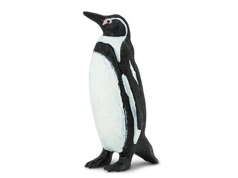 Pinguinio Humbolt