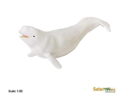 Balena Beluga