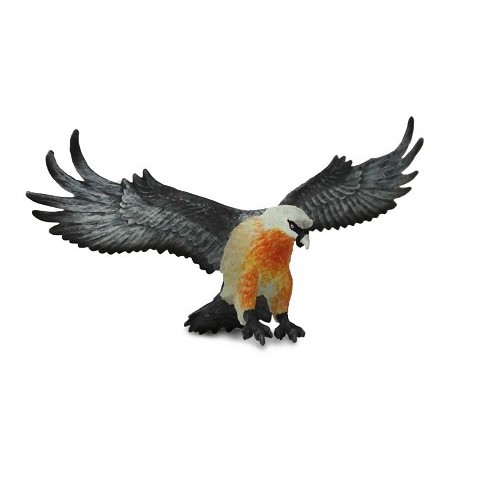 Uccelli Uccelli