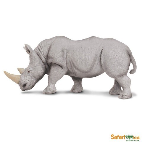 Savana Savana