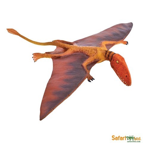 Dinosauri Dinosauri
