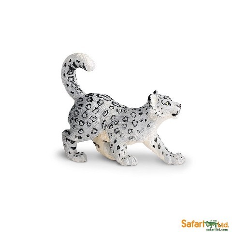 Leopardo delle Nevi Cucciolo