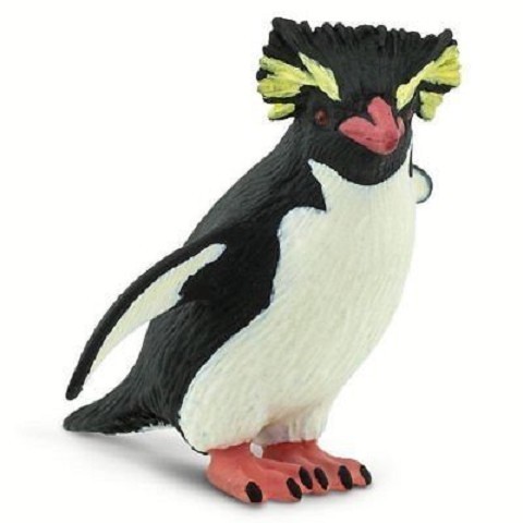 Pinguino Rockhopper
