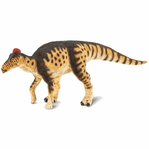 Edmontosaurus (cm 26)