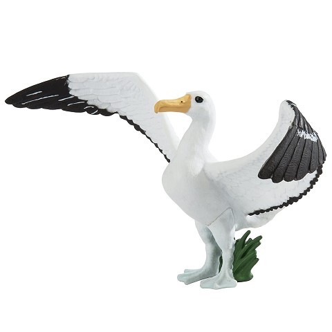 Albatros gigante