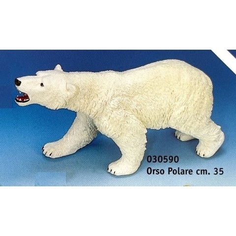 Orso polare