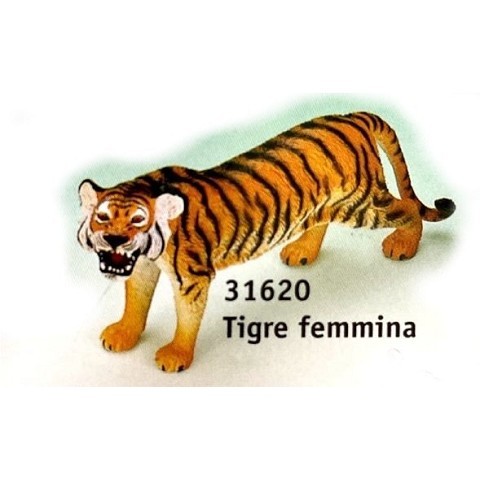 Tigre femmina