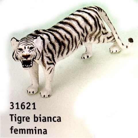 Tigre bianca femmina