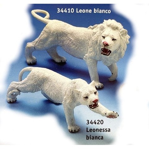 Leone bianco