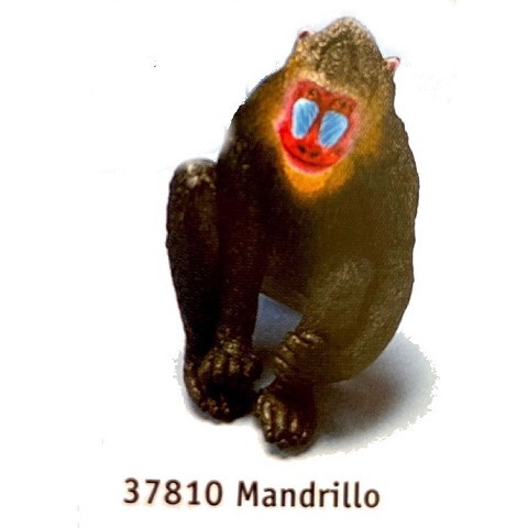 Mandrillo