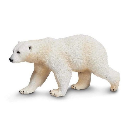 Orso Polare