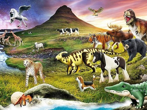 Safari Ltd