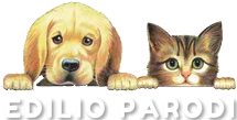 Collezione Edilio Parodi