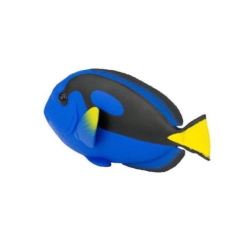 Blue Tang