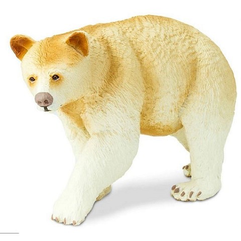 Orso di Kermode