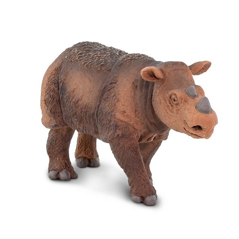 Rinoceronte di Sumatra