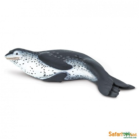 Foca Leopardata