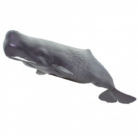 Capodoglio