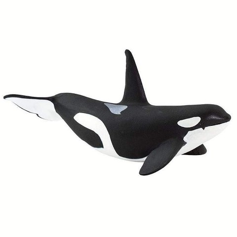 Orca