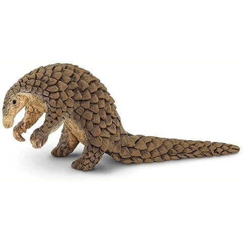Pangolino