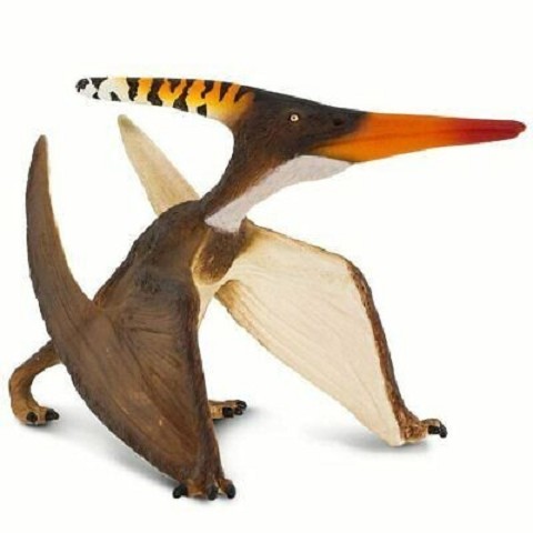 Pteranodon