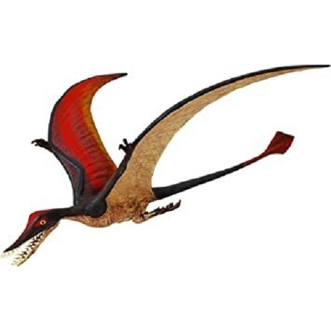 Rhamphorhynchus