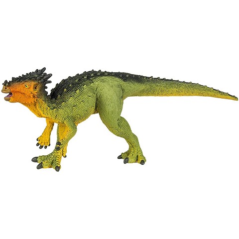 Dracorex