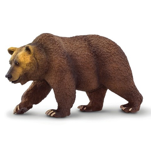 Orso Grizzly