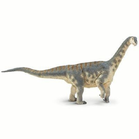 Camarasaurus