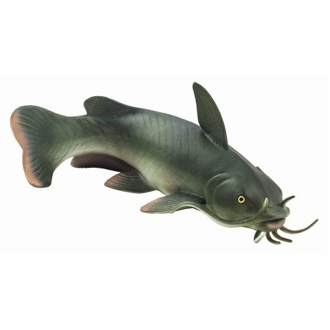Pesce Gatto