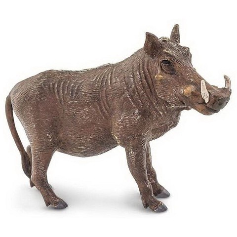 Cinghiale