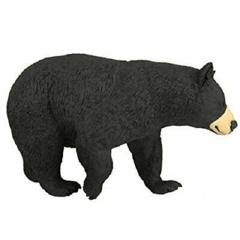 Orso Nero