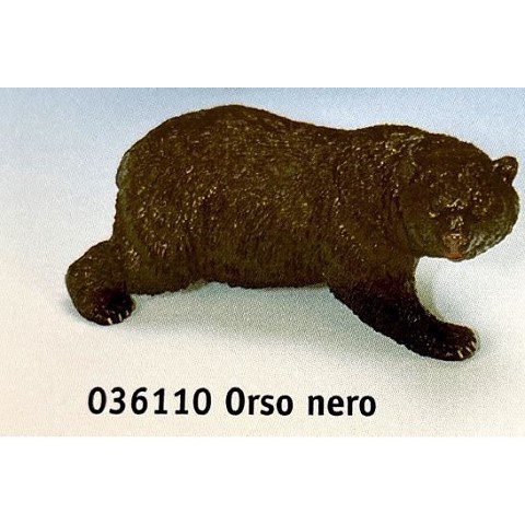 Orso nero