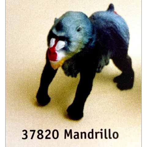 Mandrillo