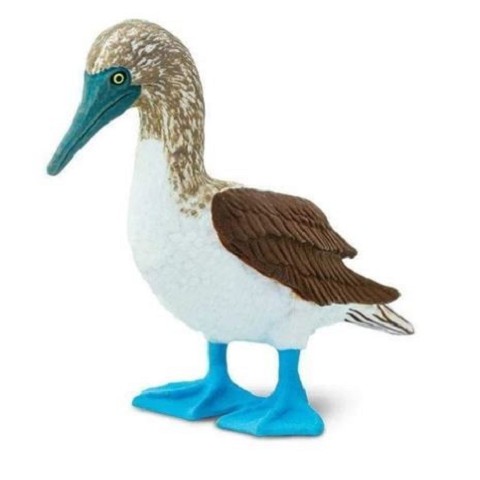 Sula dalle zampe blu