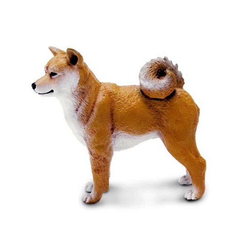 Shiba Inu