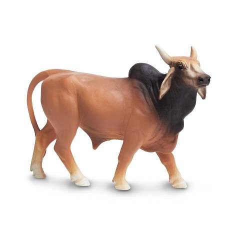 Toro Brahma