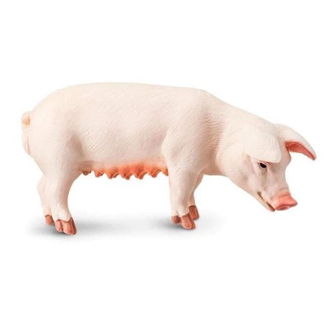 Scrofa