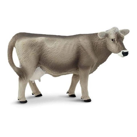 Mucca marrone Svizzera
