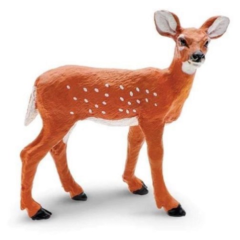 Cerbiatto