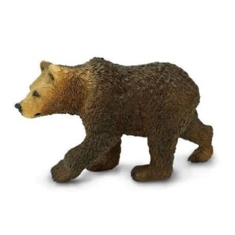 Orso Grizzly Cucciolo