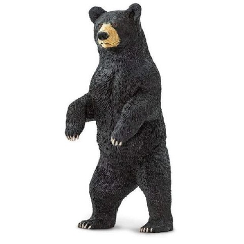 Orso Nero