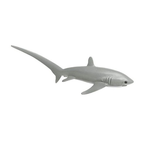 Squale Thresher