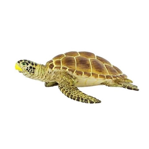 Tartaruga Caretta