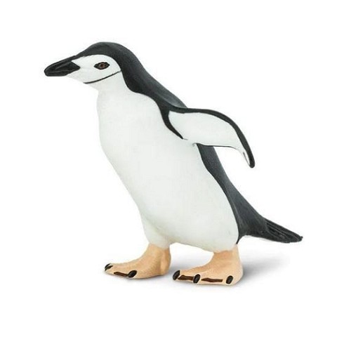 Pigoscelide Antartico