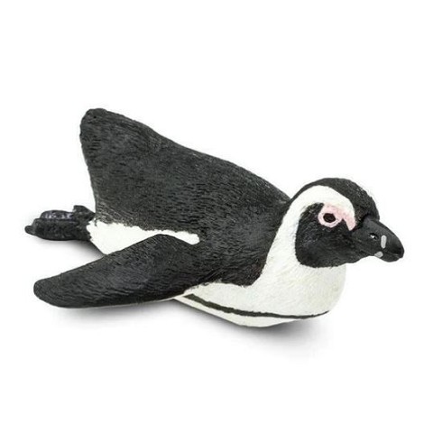 Pinguino Sudafricano